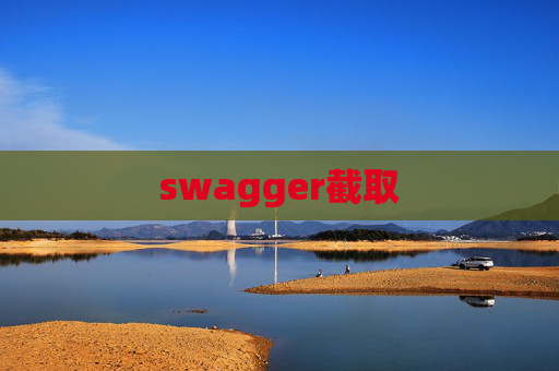 swagger截取